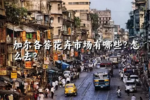 加尔各答花卉市场有哪些？怎么去？