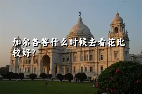 加尔各答什么时候去看花比较好？