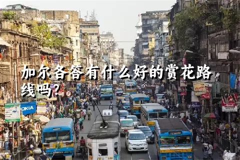 加尔各答有什么好的赏花路线吗？