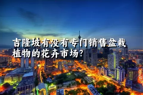 吉隆坡有没有专门销售盆栽植物的花卉市场？