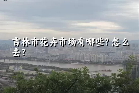 吉林市花卉市场有哪些？怎么去？