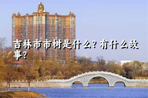 吉林市市树是什么？有什么故事？