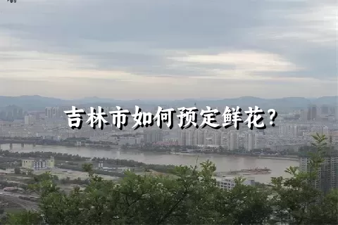 吉林市如何预定鲜花？