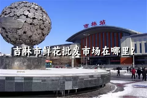 吉林市鲜花批发市场在哪里？