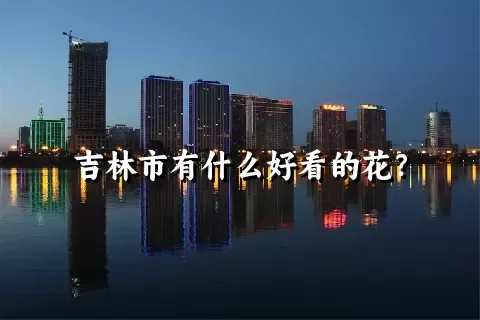 吉林市有什么好看的花？