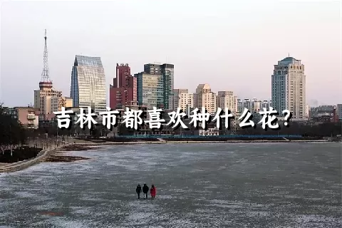 吉林市都喜欢种什么花？