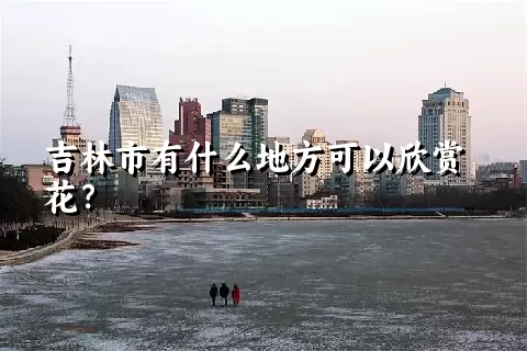 吉林市有什么地方可以欣赏花？