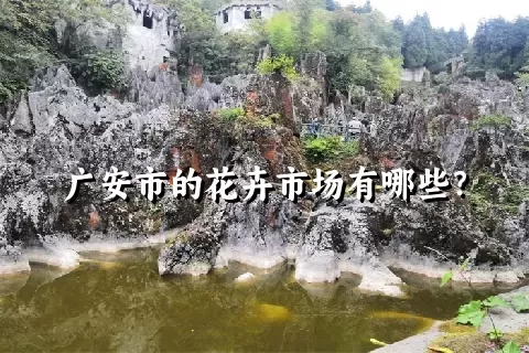 广安市的花卉市场有哪些？