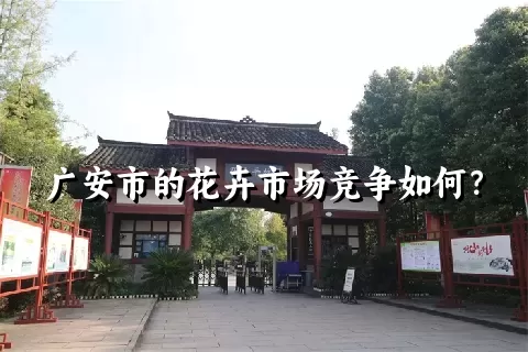 广安市的花卉市场竞争如何？