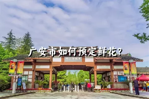 广安市如何预定鲜花？