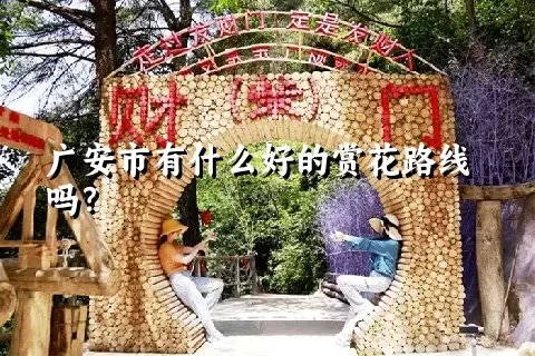 广安市有什么好的赏花路线吗？