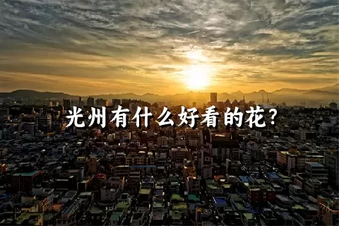 光州有什么好看的花？