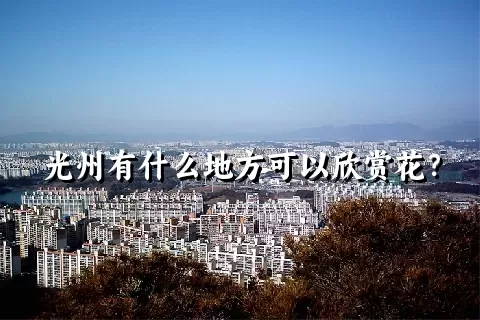 光州有什么地方可以欣赏花？