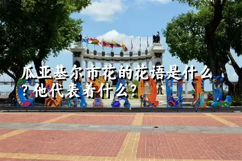 瓜亚基尔市花的花语是什么？他代表着什么？