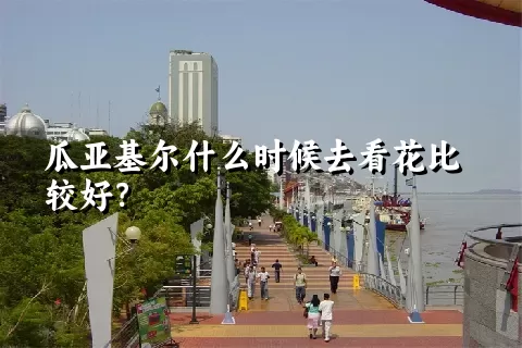 瓜亚基尔什么时候去看花比较好？