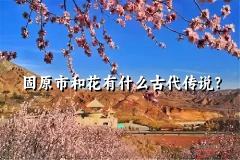 固原市和花有什么古代传说？