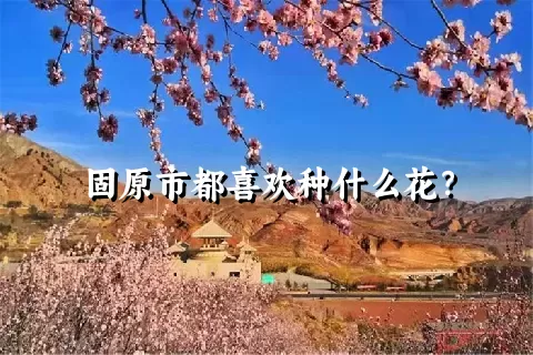 固原市都喜欢种什么花？