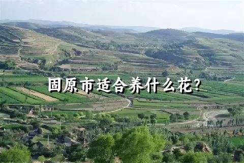 固原市适合养什么花？