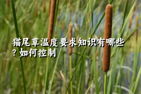 猫尾草温度要求知识有哪些？如何控制