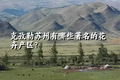 克孜勒苏州有哪些著名的花卉产区？