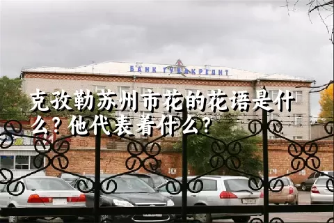 克孜勒苏州市花的花语是什么？他代表着什么？