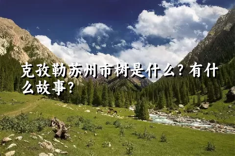 克孜勒苏州市树是什么？有什么故事？