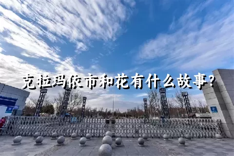 克拉玛依市和花有什么故事？