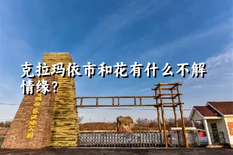 克拉玛依市和花有什么不解情缘？