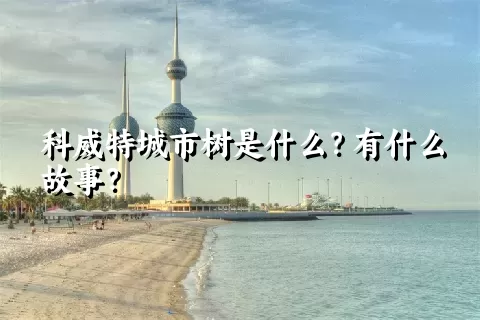 科威特城市树是什么？有什么故事？