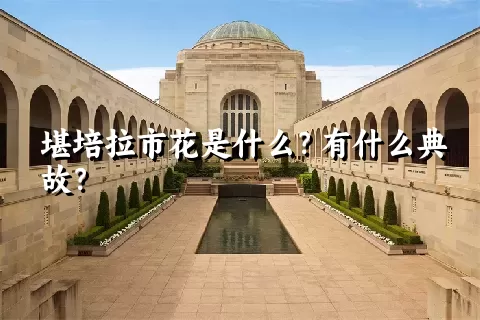 堪培拉市花是什么？有什么典故？