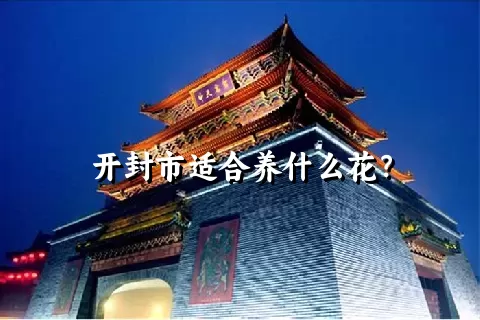 开封市适合养什么花？