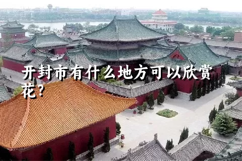 开封市有什么地方可以欣赏花？