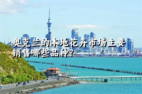 奥克兰的本地花卉市场主要销售哪些品种？