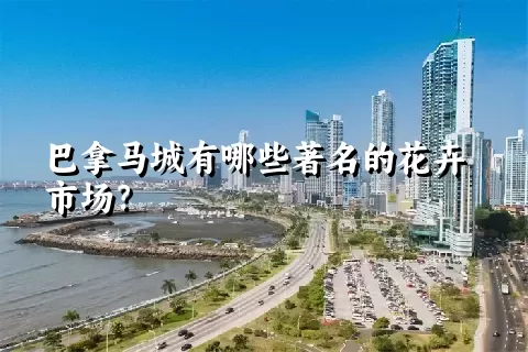 巴拿马城有哪些著名的花卉市场？