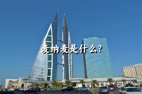 麦纳麦是什么？