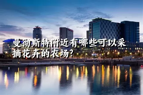 曼彻斯特附近有哪些可以采摘花卉的农场?