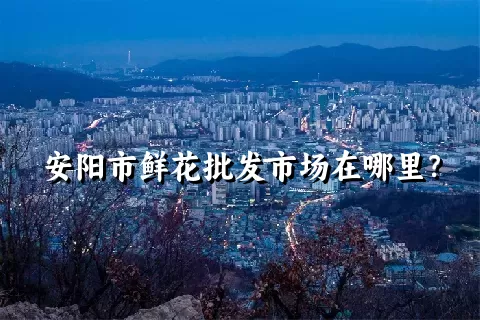 安阳市鲜花批发市场在哪里？