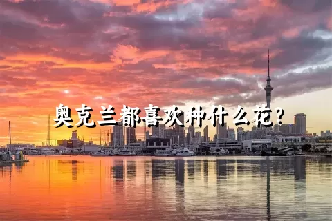 奥克兰都喜欢种什么花？