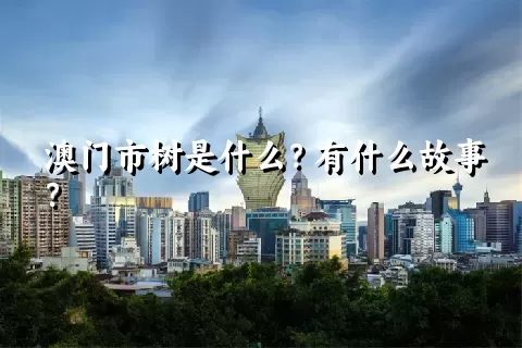 澳门市树是什么？有什么故事？