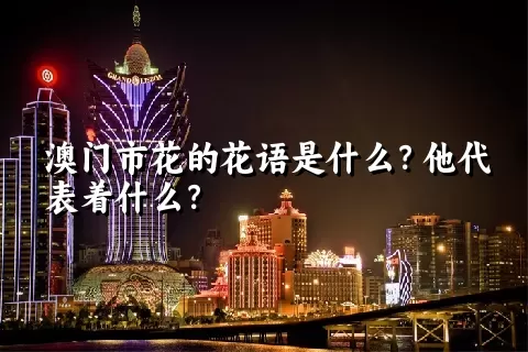 澳门市花的花语是什么？他代表着什么？