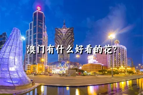 澳门有什么好看的花？