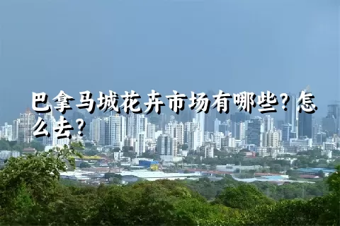 巴拿马城花卉市场有哪些？怎么去？