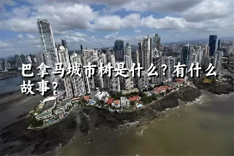 巴拿马城市树是什么？有什么故事？