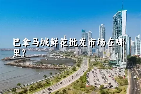 巴拿马城鲜花批发市场在哪里？