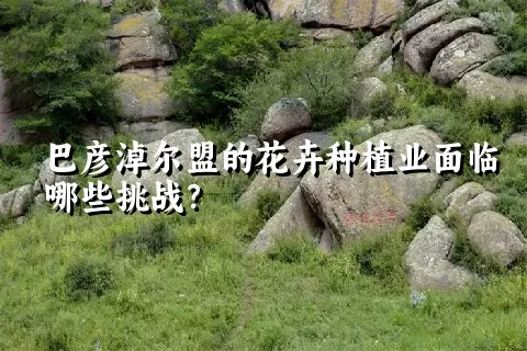 巴彦淖尔盟的花卉种植业面临哪些挑战？