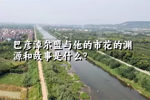 巴彦淖尔盟与他的市花的渊源和故事是什么？