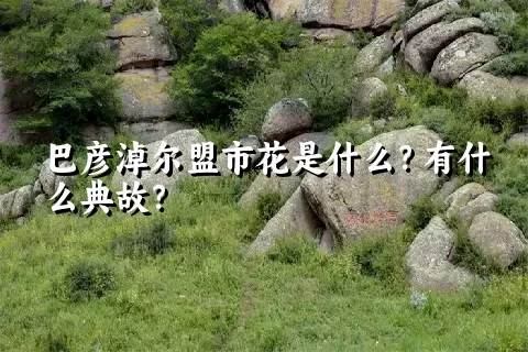 巴彦淖尔盟市花是什么？有什么典故？