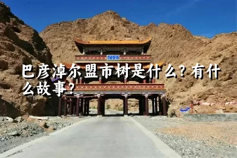 巴彦淖尔盟市树是什么？有什么故事？