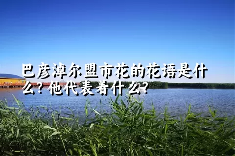 巴彦淖尔盟市花的花语是什么？他代表着什么？