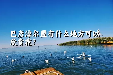 巴彦淖尔盟有什么地方可以欣赏花？